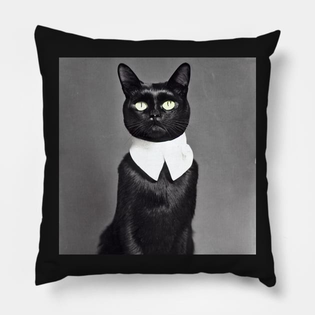 Dignified Black Cat Old Puritan Timey Photograph Pillow by SubtleSplit
