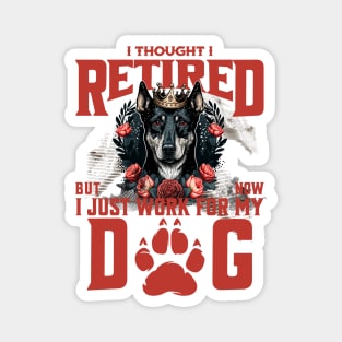 I thought I retired but now I just work for my dog Magnet