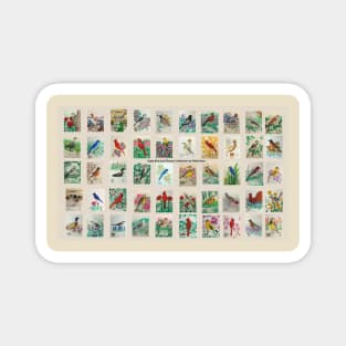 State bird and flower collection Magnet