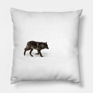 Black Wolf in winter Pillow