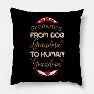 Promoted From Dog Grandma To Human Grandma Pillow