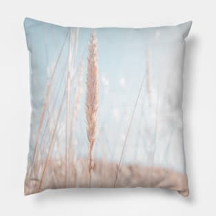 Beach Grass | Beach Grass Photography | Backlight Fine Art Print Pillow