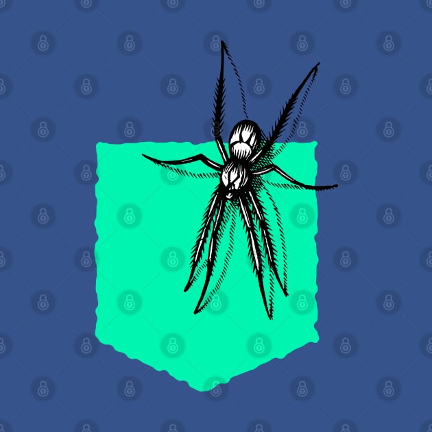 Spider in Pocket by Inspire Creativity