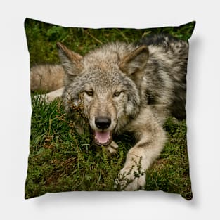 Timber Wolf Pillow