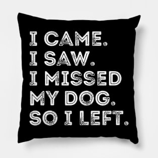 I Came I Saw I Missed My Dog Dog Owner Lover Pet jokes Pillow