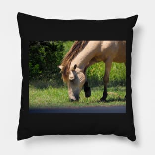 Buckskin Colored Assateague Pony Pillow