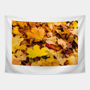 Autumn background of fallen yellow and orange leaves Tapestry
