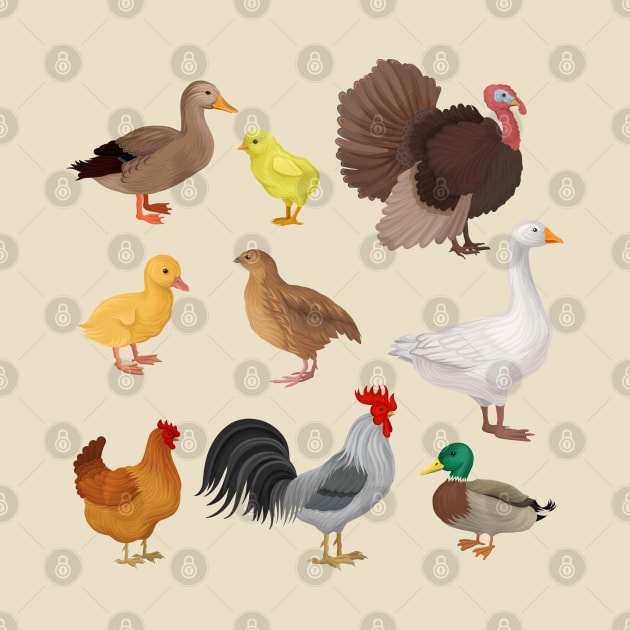 Poultry illustration by Mako Design 