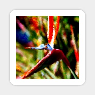 Bird of Paradise Abstract Magnet