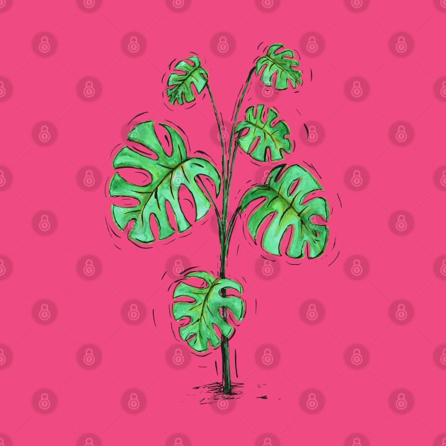 Monstera deliciosa green version by Bwiselizzy