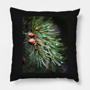 Fir tree Pillow