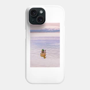 Mallard Ducks on Winter Sunset Lake Phone Case