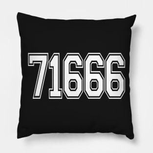 71666 Pillow