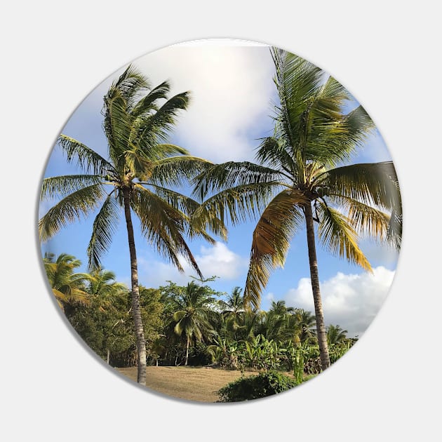 Barbados Palm Trees Along a Roadway Pin by Bravuramedia