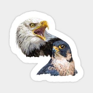 American Pigargo and Peregrine Falcon Magnet