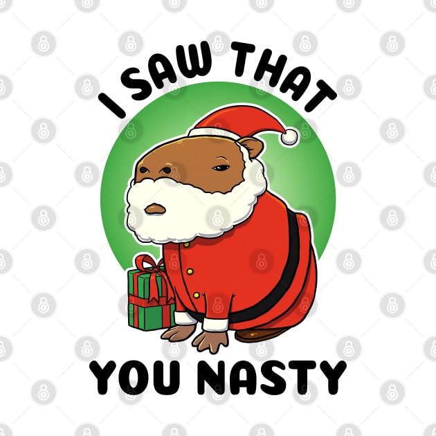 I saw that you nasty Capybara Santa by capydays