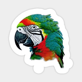 Profile of a Parrot Magnet