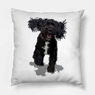 Cockapoo Pillow