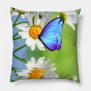 Blue Morpho Butterly and Daisies Pillow