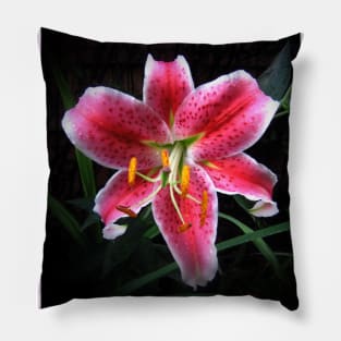 Pink Day Lily Pillow