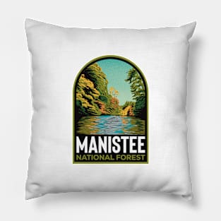 Manistee National Forest MI Pillow