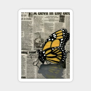 Butterfly on my Newspaper Magnet