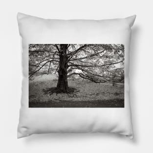 the stately tree, has released its leaves Pillow