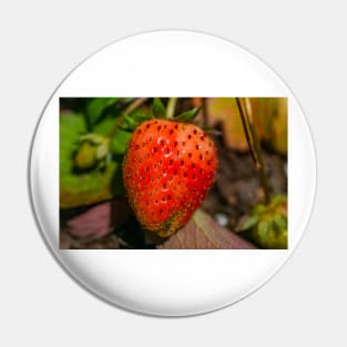 Strawberry Pin