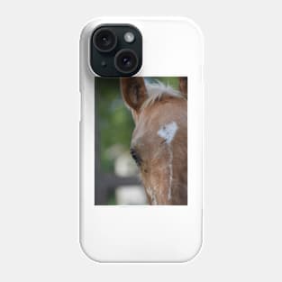 TB COLT Phone Case