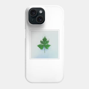 Real Floral Flower Plant 12 Phone Case