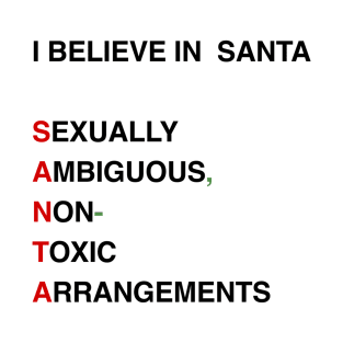 I Believe in santa T-Shirt