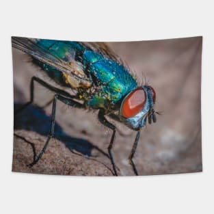 Blow Fly Macro Photograph Tapestry