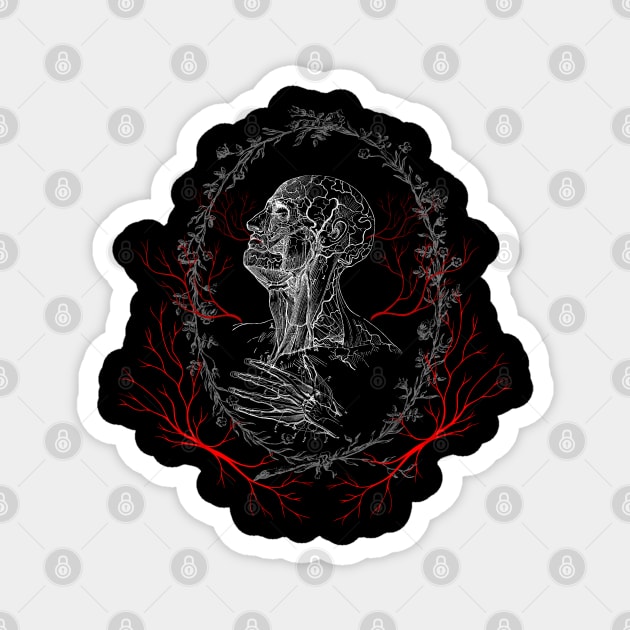 Anatomy Blood Vessel - Gothic Dark Academia Magnet by TopKnotDesign