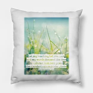 Let my teaching fall like rain… Deuteronomy 32:2 Pillow