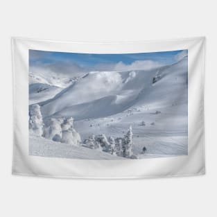 Whistler Off Piste slopes Tapestry