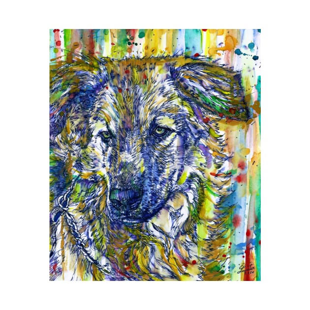 BEAUTIFUL DOG by lautir