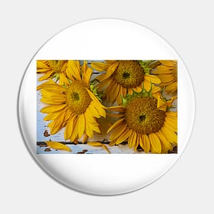 Fading Spent Sunflowers Still life Pin