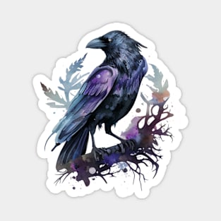 Raven Magnet