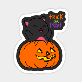 Black Cat Pumpkin Trick or Treat Magnet