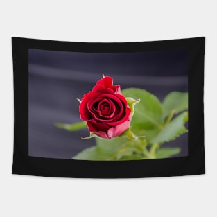 Red Rose top view Tapestry