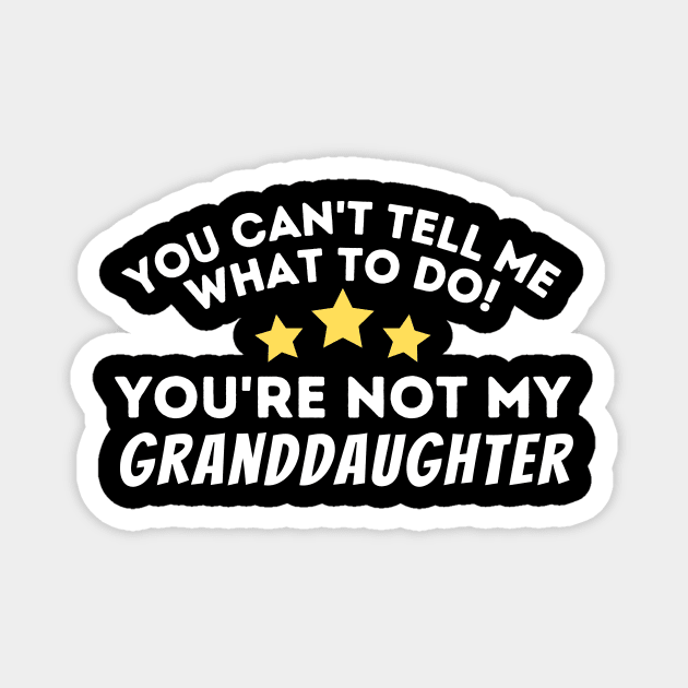 You Can't Tell Me What To Do Magnet by The WYLD Tribe