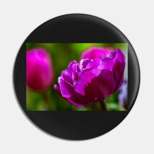 Group of purple tulips Pin