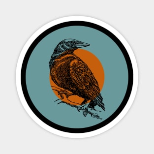 Halloween Crow, Signs and Fortunes - Teal, Orange, and Black Magnet