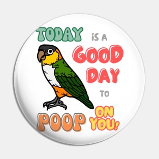 Caique Bird, Small Parrot, Parakeet, Today is a good day to poop on you Pin