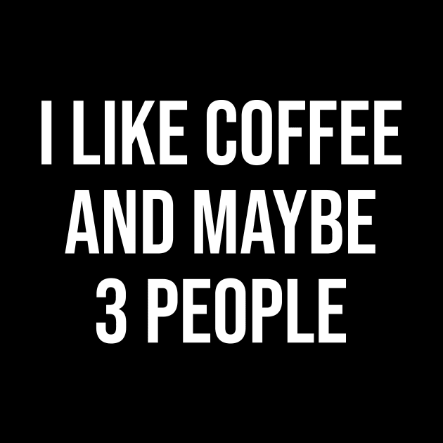 I Like Coffee and Maybe 3 People by animericans