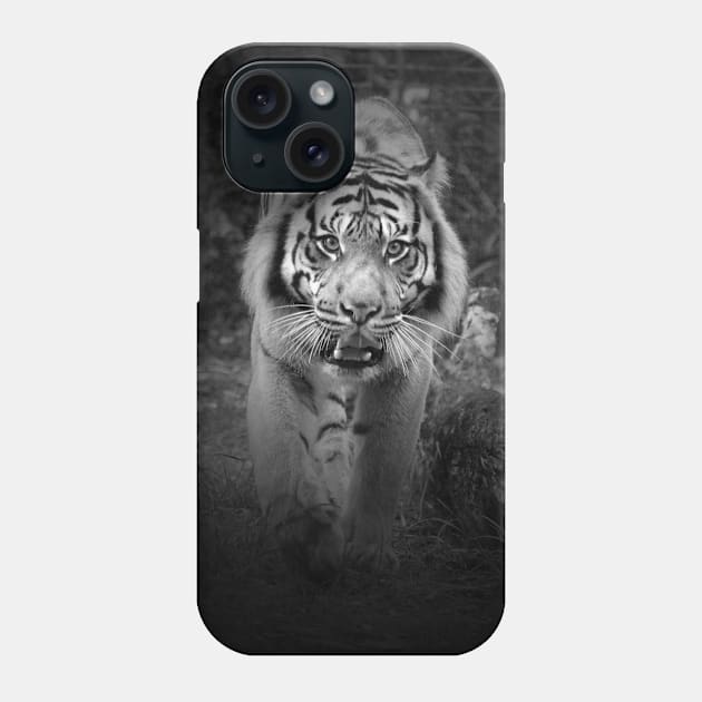 On The Prowl Phone Case by LeanneAllen