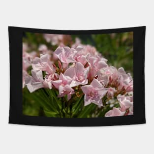 Pink Florida Flowers 2 Tapestry