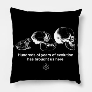 "Hundreds of years of Evolution" Funny Science Joke Shirt Pillow