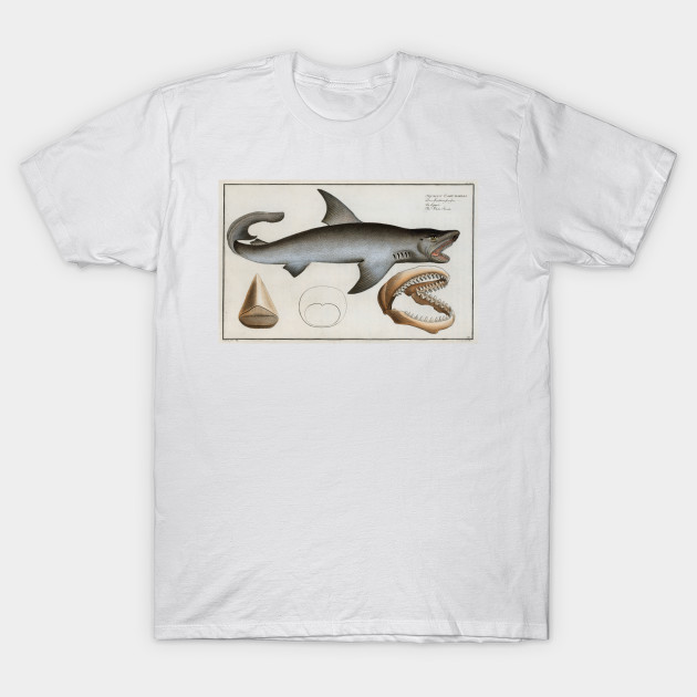 Great White Shark - T-Shirt | TeePublic