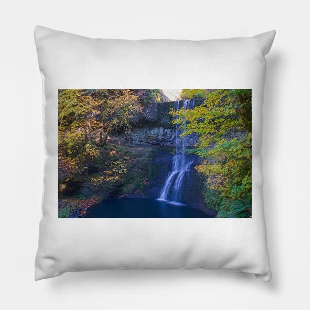 850_2815 Pillow by wgcosby